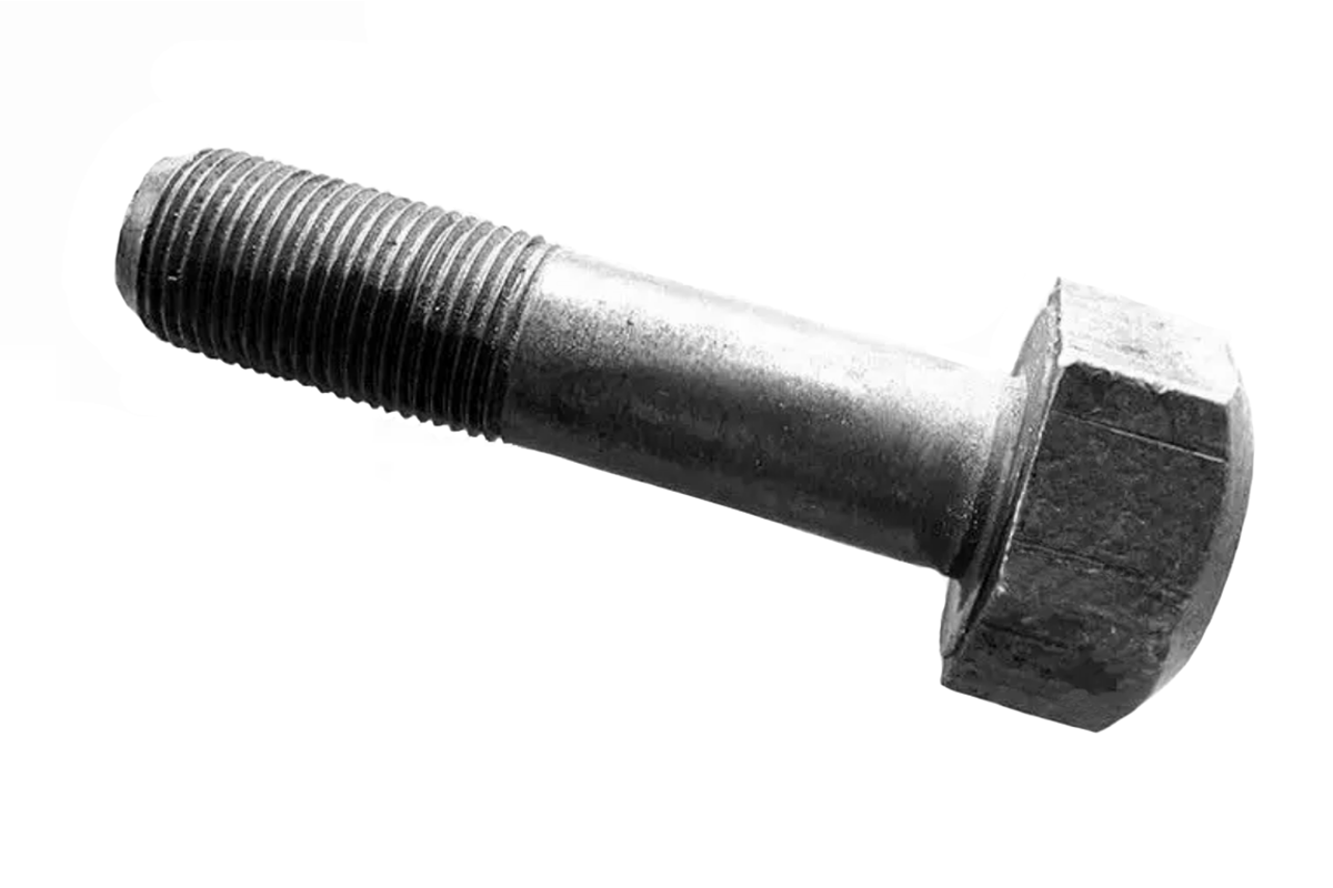 245-1005054-1200x800.png